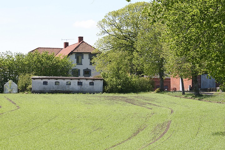 Assedrup Nygaard
